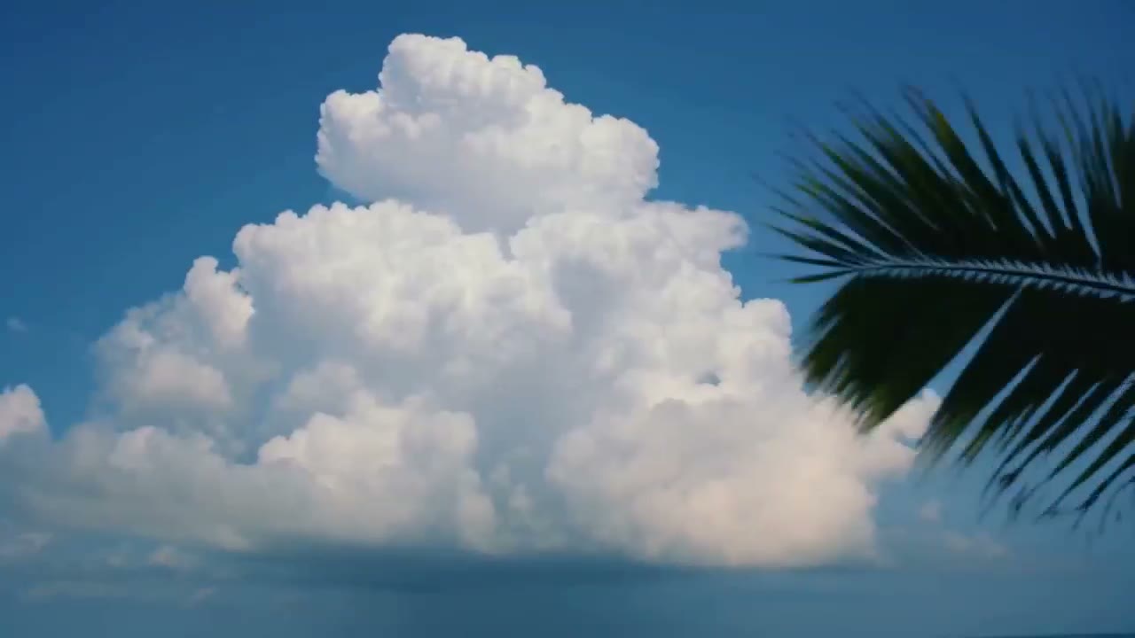 金色舞台 MV 画面